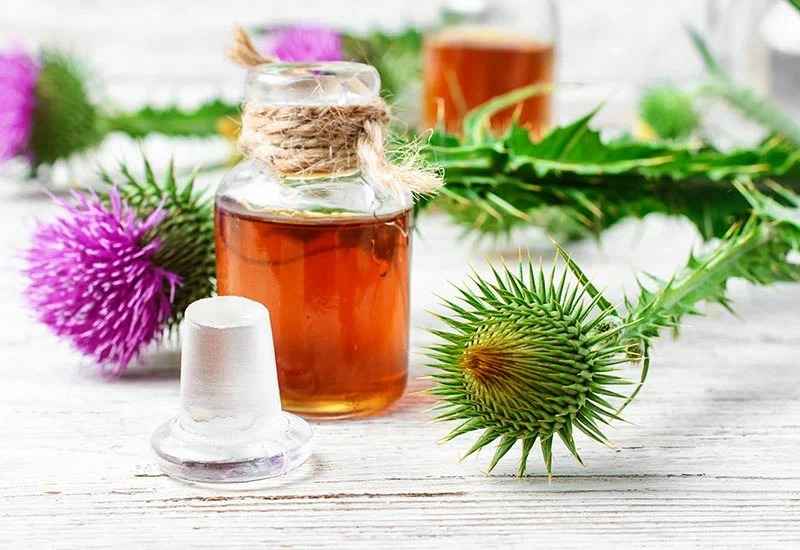 تصویر 4 از عرق خار مریم برای رحم با حفظ ویژگی های طبیعی گیاه